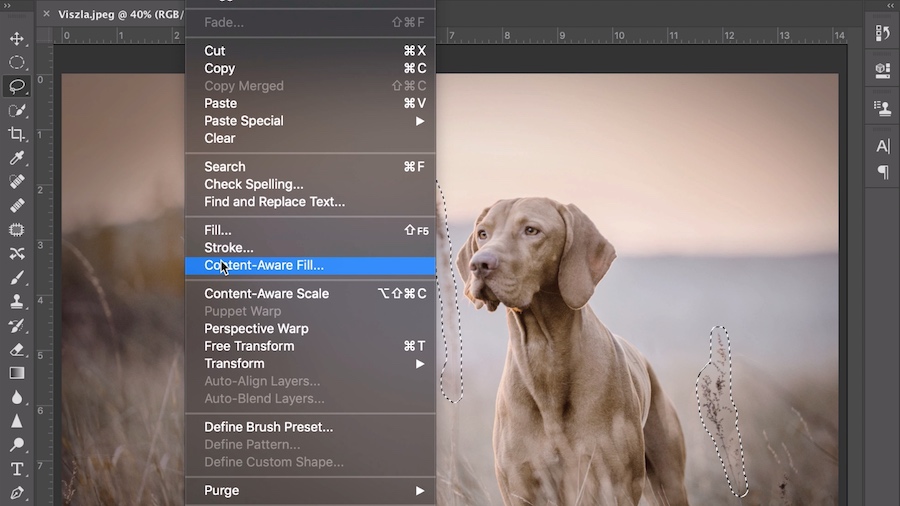 Cara Menghapus Objek di Photoshop Melalui Content Aware Fill